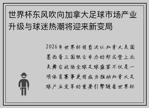 世界杯东风吹向加拿大足球市场产业升级与球迷热潮将迎来新变局