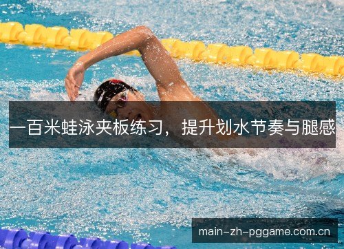 一百米蛙泳夹板练习，提升划水节奏与腿感