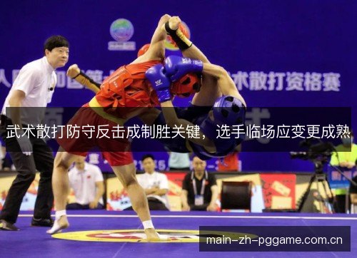 武术散打防守反击成制胜关键,选手临场应变更成熟 武术散打防守反击成制胜关键,选手临场应变更成熟